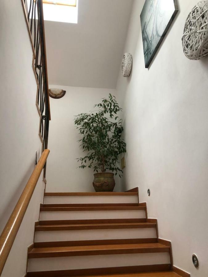 Apartamenty sandomierskie GIMO Sandomierz Zewnętrze zdjęcie
